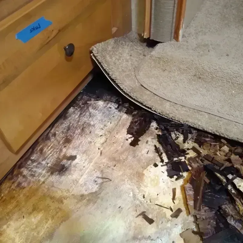 Wood Floor Water Damage in Erma, NJ